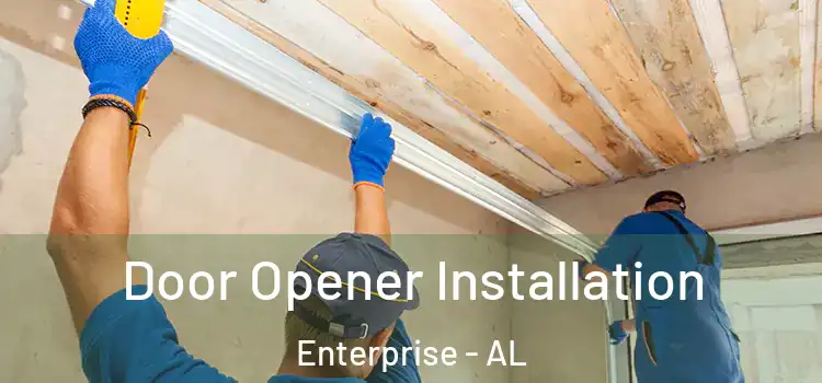  Door Opener Installation Enterprise - AL