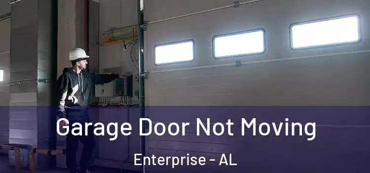 Garage Door Not Moving Enterprise - AL