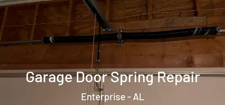  Garage Door Spring Repair Enterprise - AL