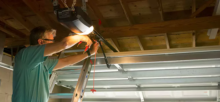 Garage Door Opener Sales and Installation Enterprise