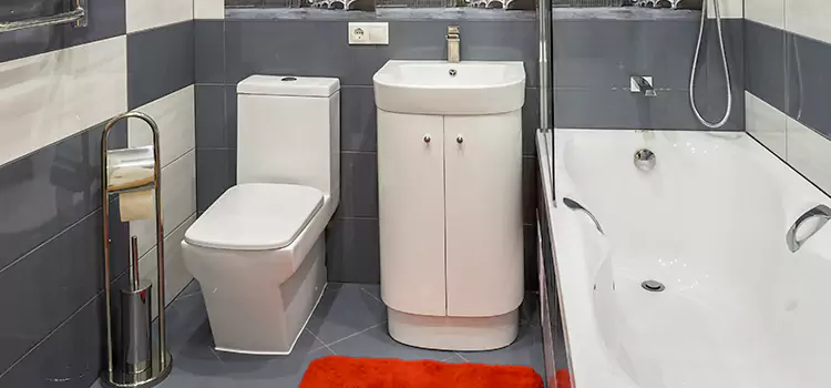 Hansgrohe Shaving Mirror Enterprise